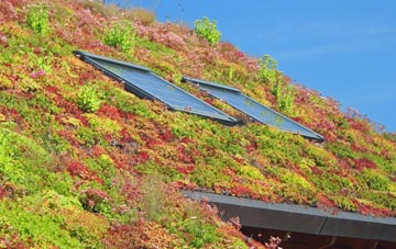 Comley living roof systems