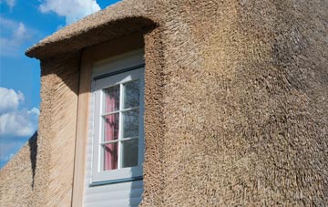 Comley thatch roof disadvantages