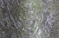 Comley fibreglass roof work